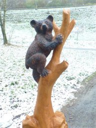 tj13-14 pferde titel oeschs 060